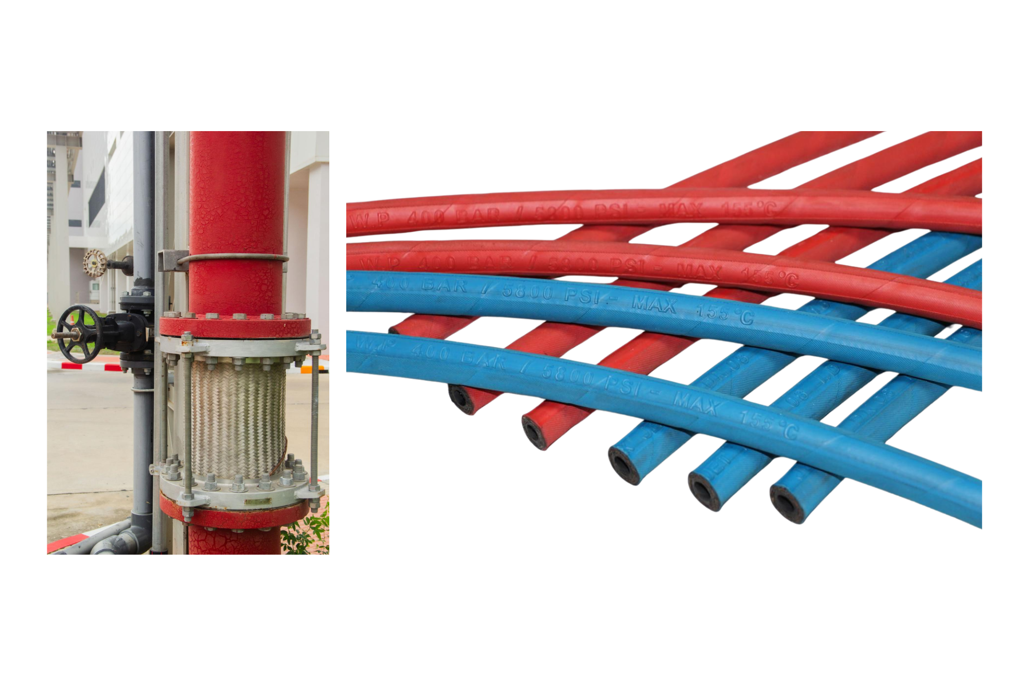 Flexible Hose Pipe